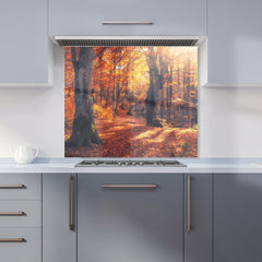 Autumn Forest Kitchen Splashback