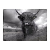 Black And White Highland Cow Glass Chopping Board