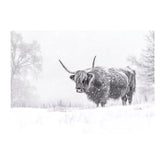 Snowy Black And White Highland Cow Glass Chopping Board