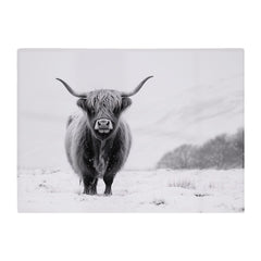 Lone Highland Cow Glass Chopping Board