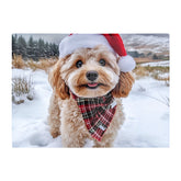Snowy Christmas Cavapoo Glass Chopping Board