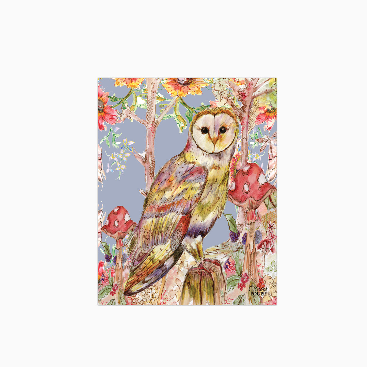 Whimsical Owl Glass Kitchen Splashback