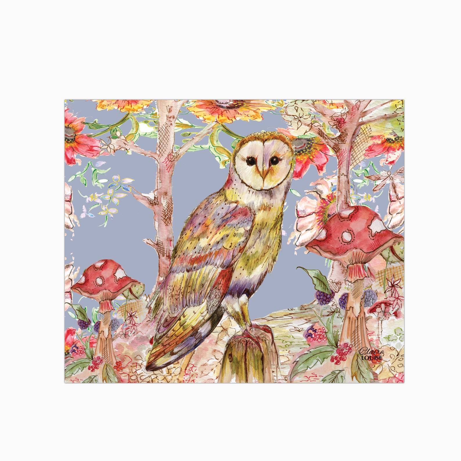 Whimsical Owl Glass Kitchen Splashback