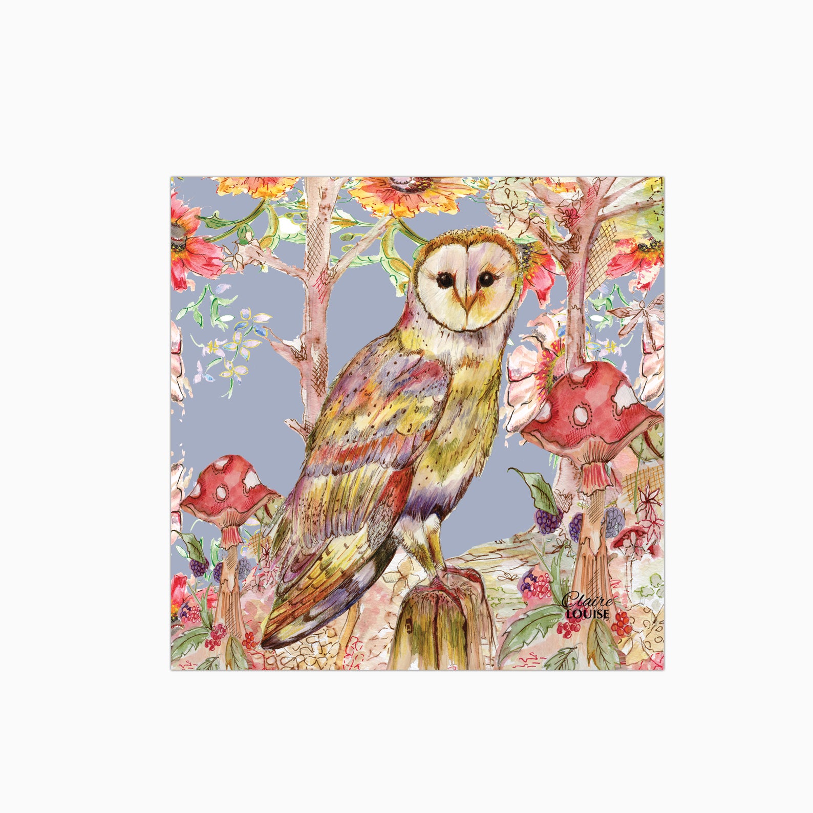 Whimsical Owl Glass Kitchen Splashback