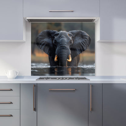 Finn Wilder: 00008 Kitchen Splashback