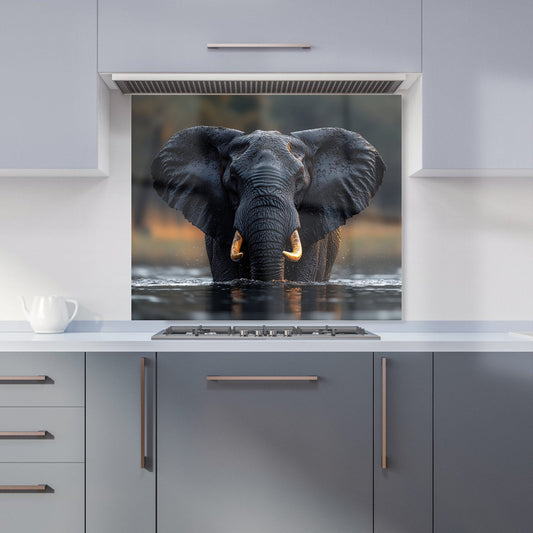 Finn Wilder: 00008 Kitchen Splashback