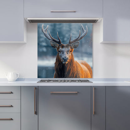 Finn Wilder: 00013 Kitchen Splashback