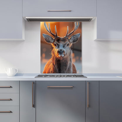 Finn Wilder: 00026 Kitchen Splashback