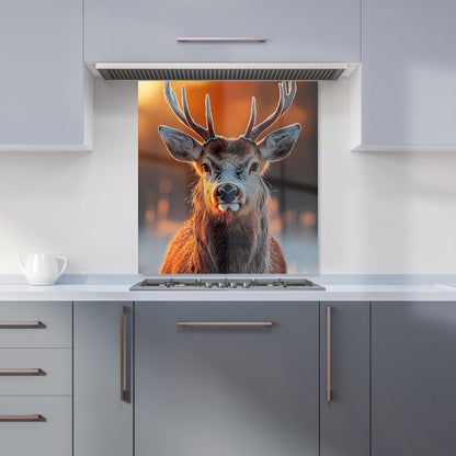 Finn Wilder: 00026 Kitchen Splashback