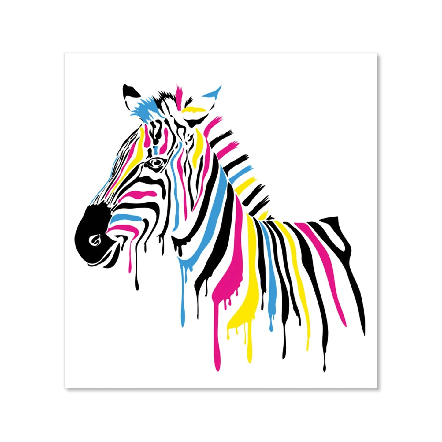 Multi Coloured Zebra Kitchen Splashback