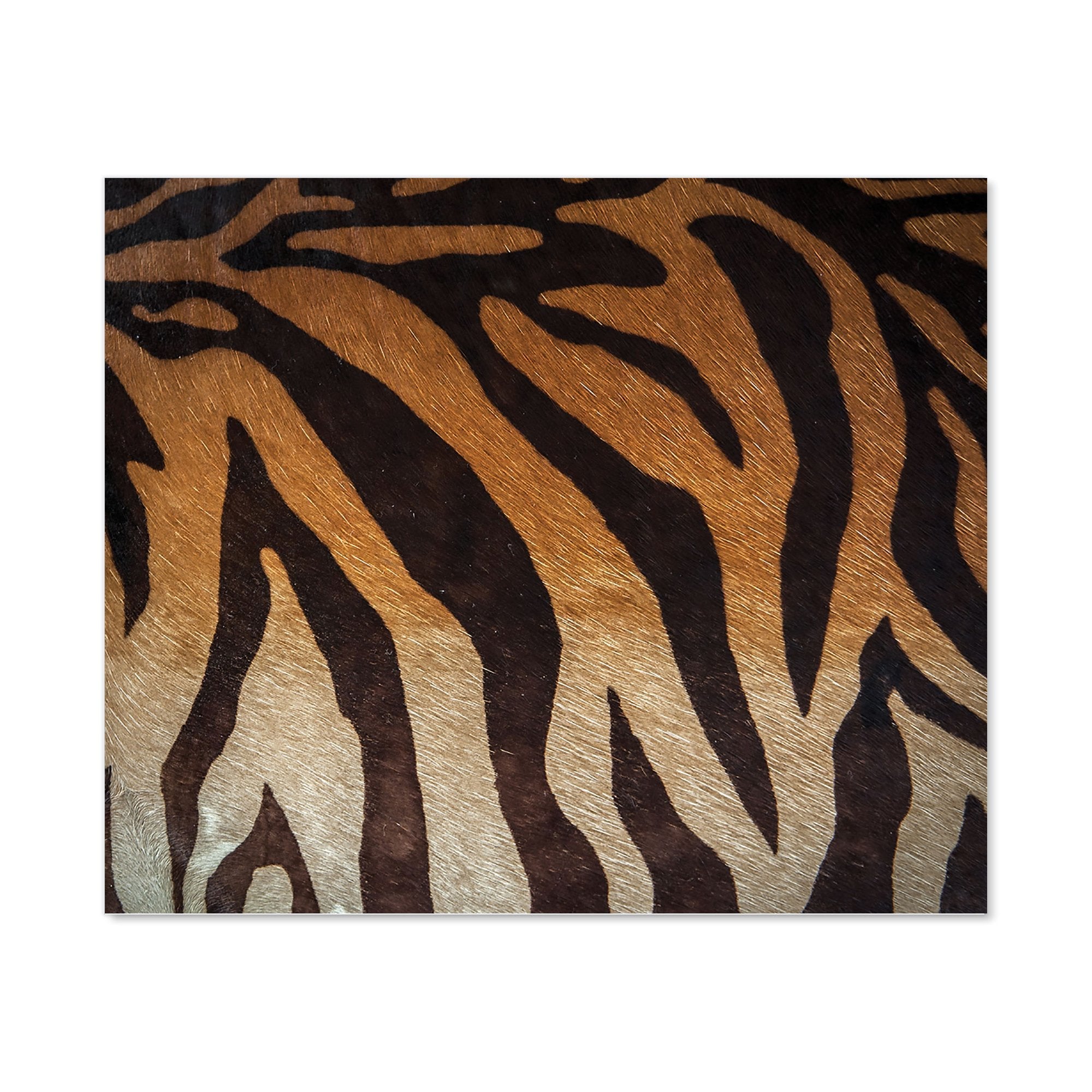 Tiger Skin Print Kitchen Splashback