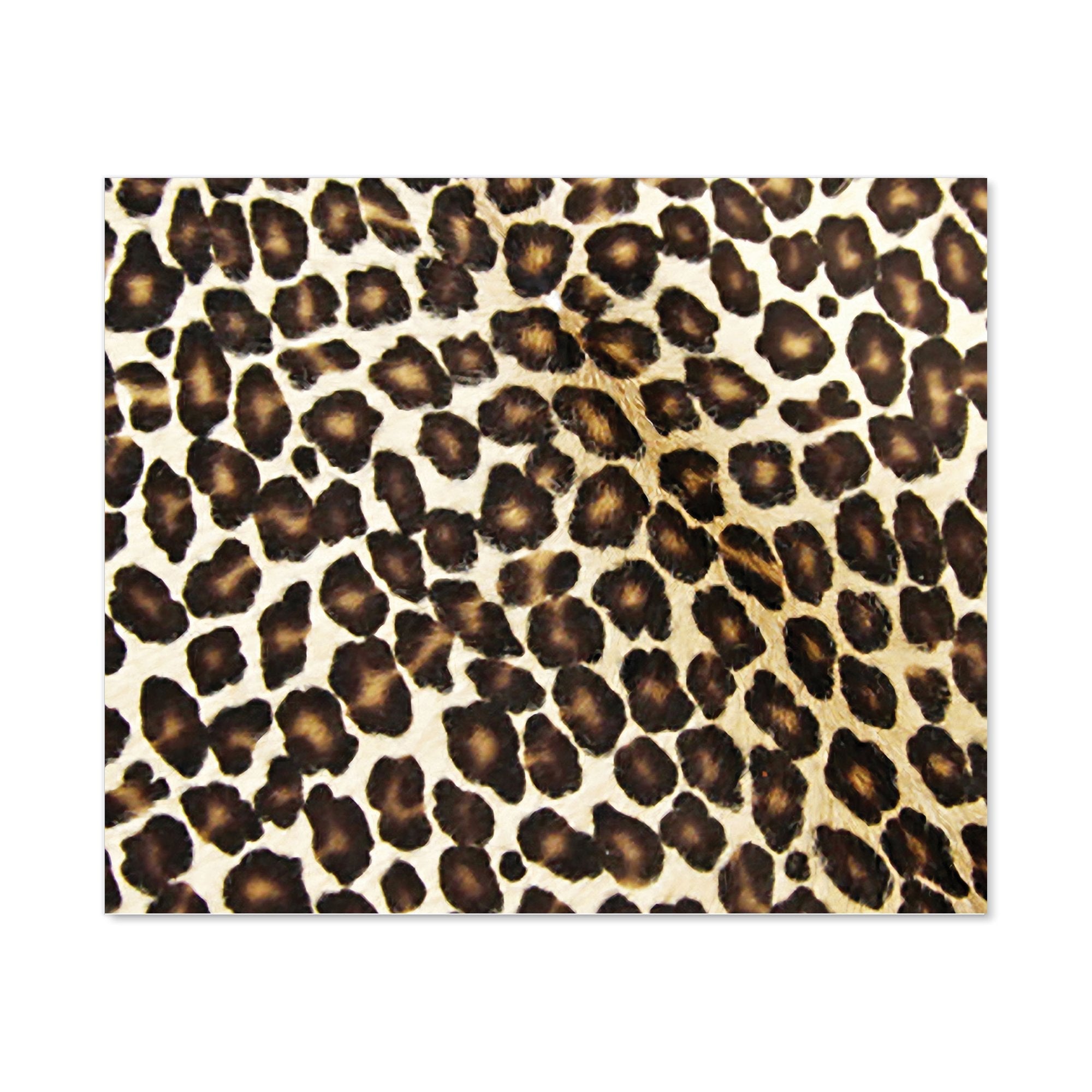 Leopard Hide Print Kitchen Splashback