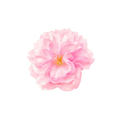 Single Cherry Blossom Glass Chopping Board