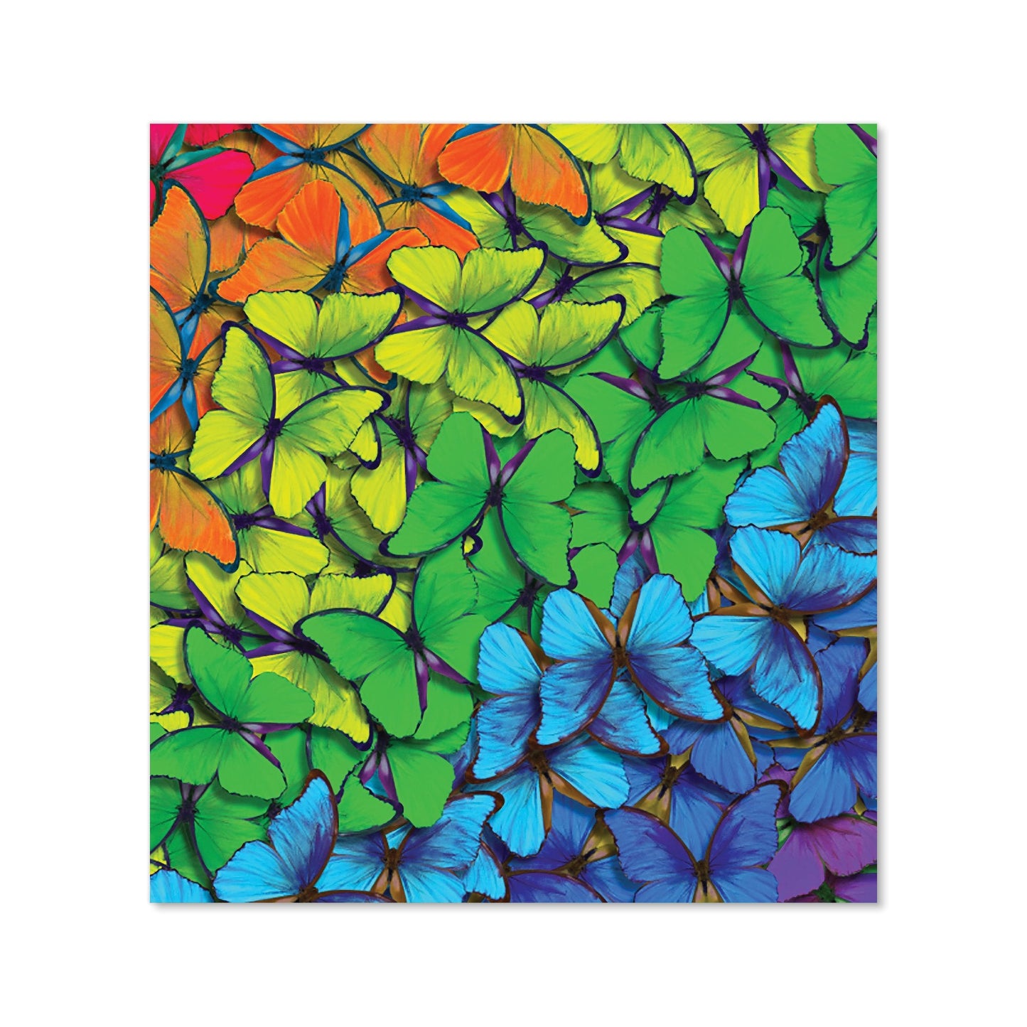 Multicoloured Butterflies Kitchen Splashback