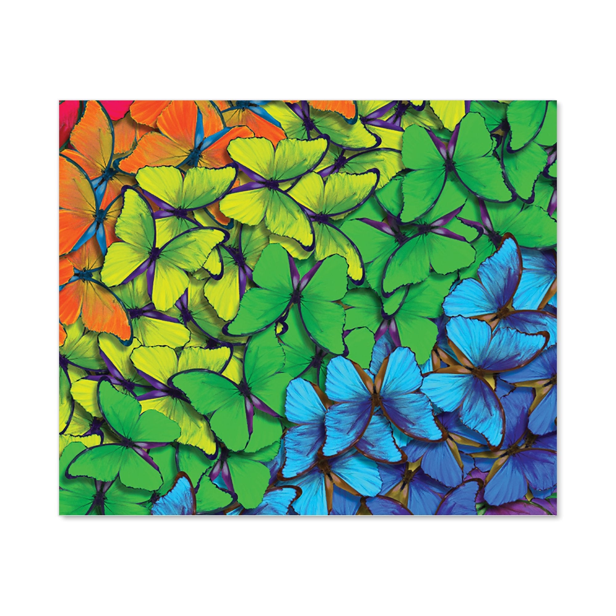 Multicoloured Butterflies Kitchen Splashback