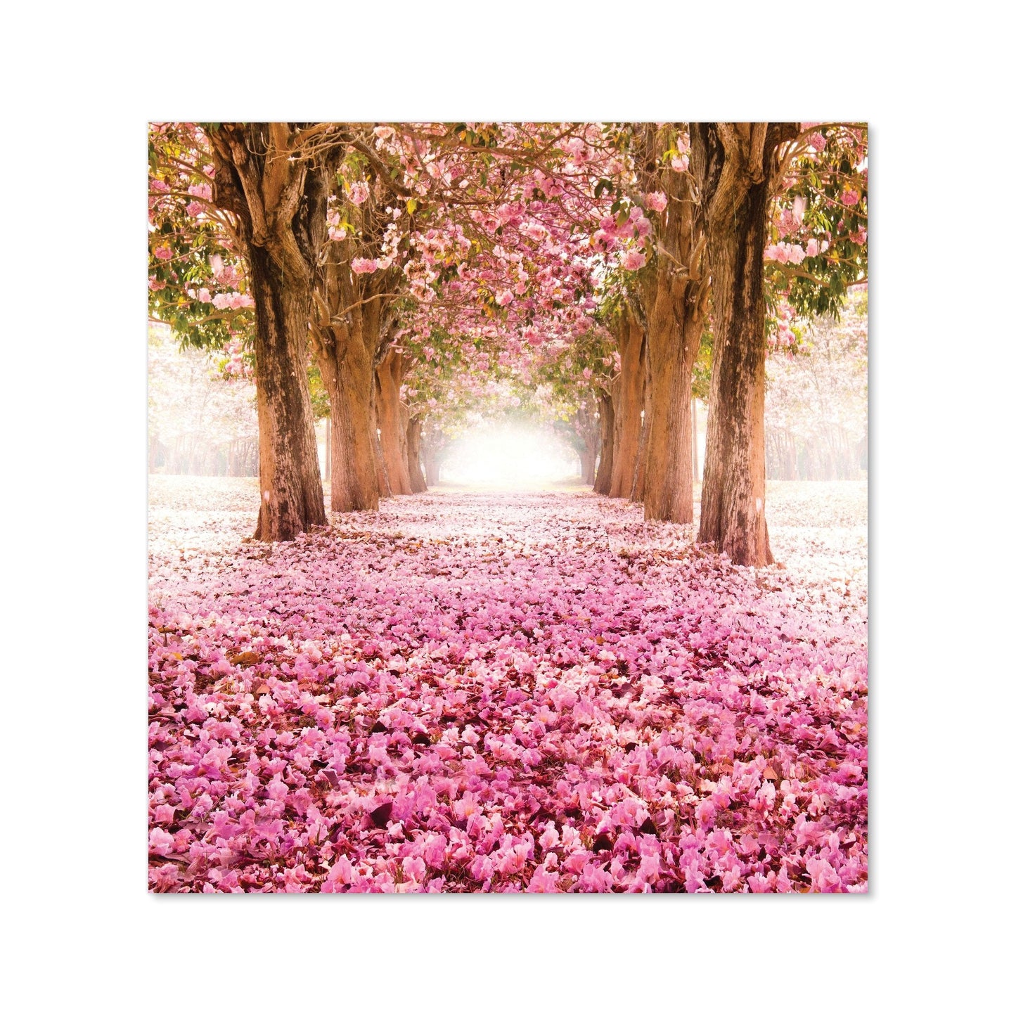 Pink Flower Tree Tunnel Kitchen Splashback