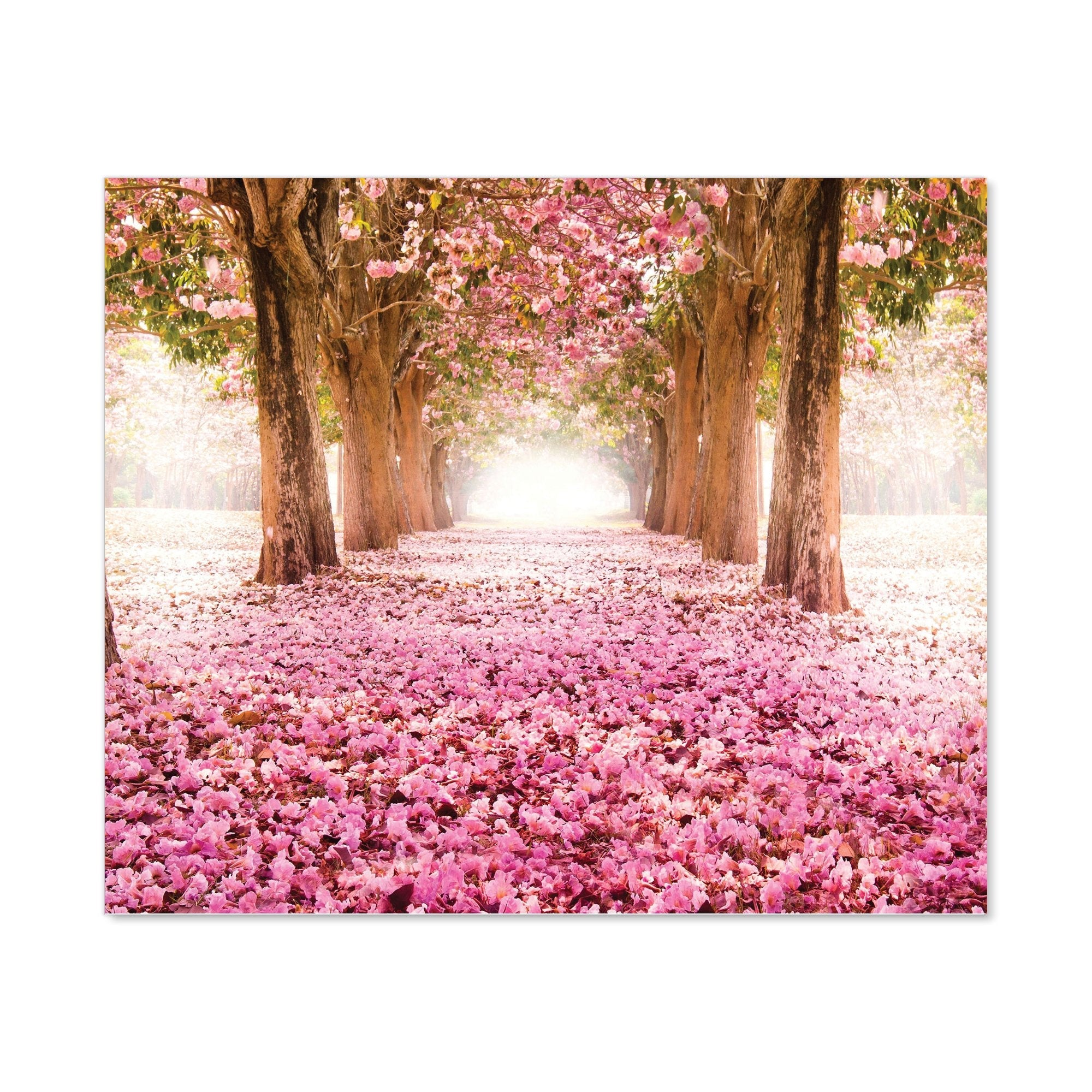 Pink Flower Tree Tunnel Kitchen Splashback