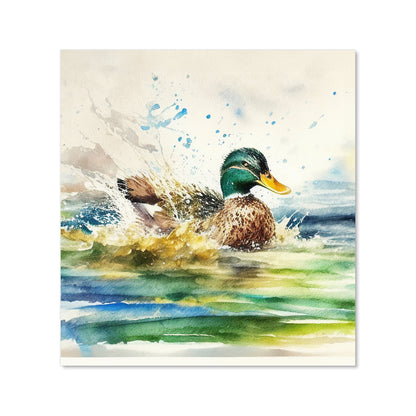 Splashing Mallard Watercolour Kitchen Splashback