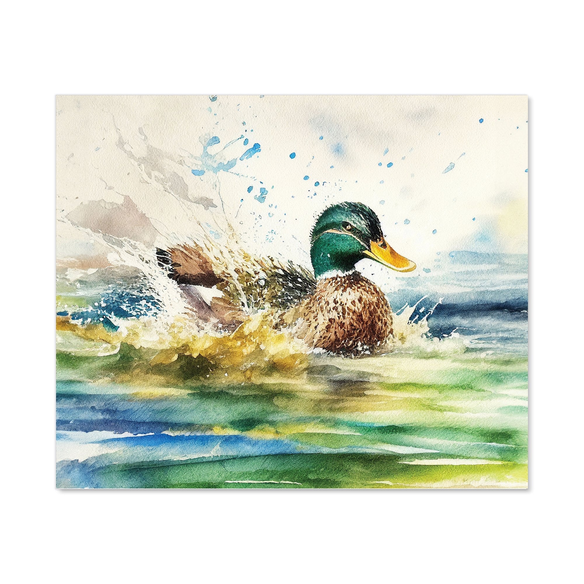 Splashing Mallard Watercolour Kitchen Splashback