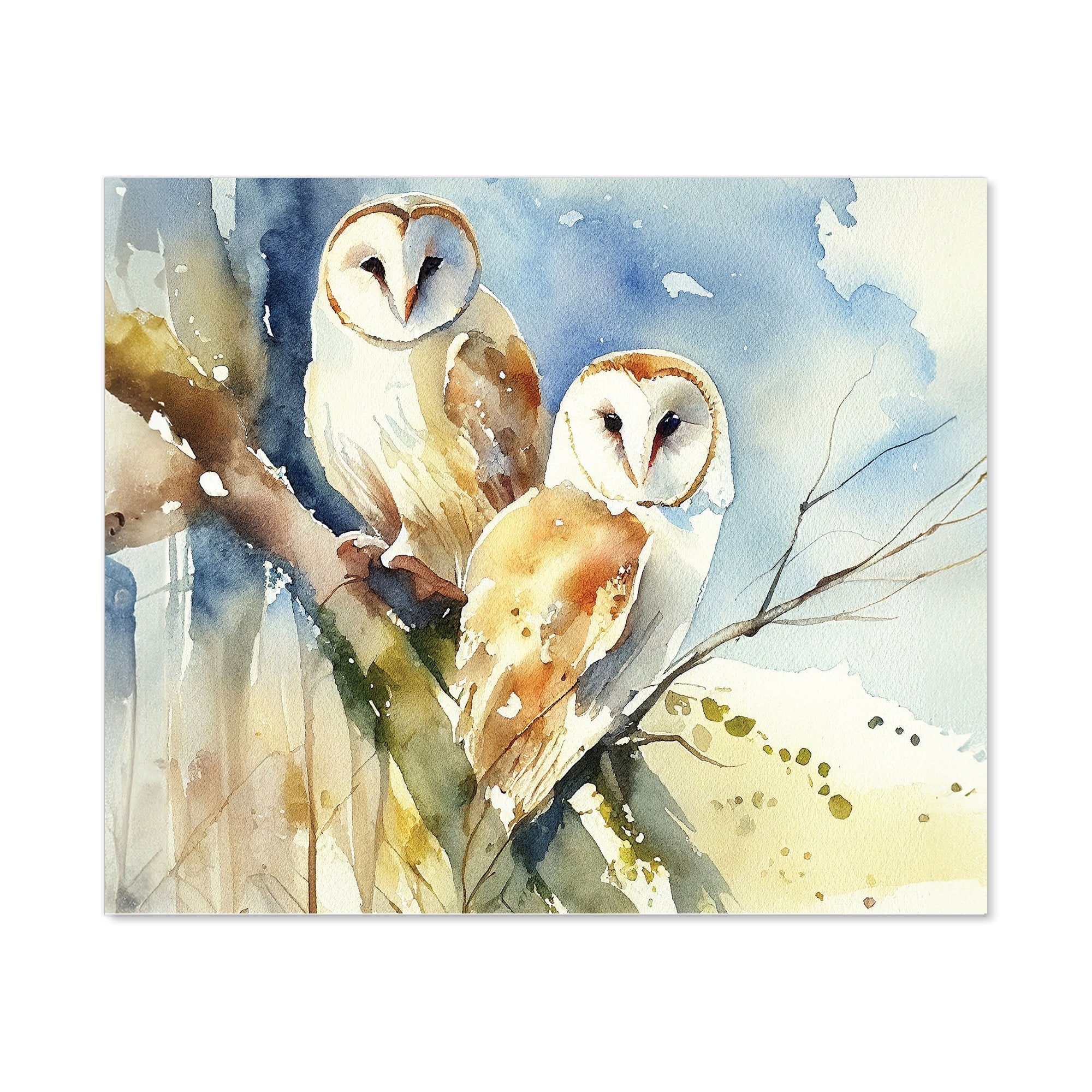 Barn Owls Watercolour Kitchen Splashback