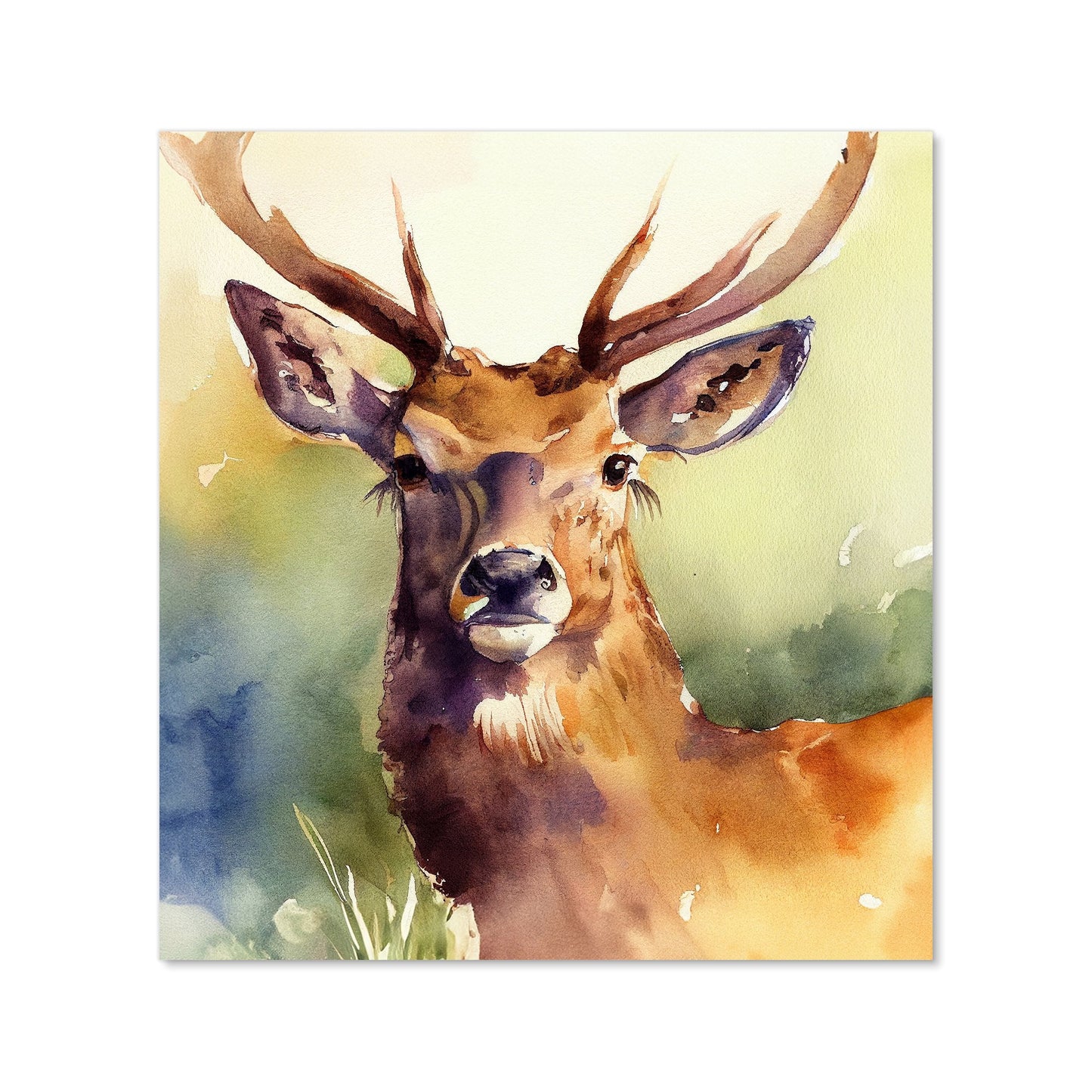 Splendid Stag Watercolour Kitchen Splashback