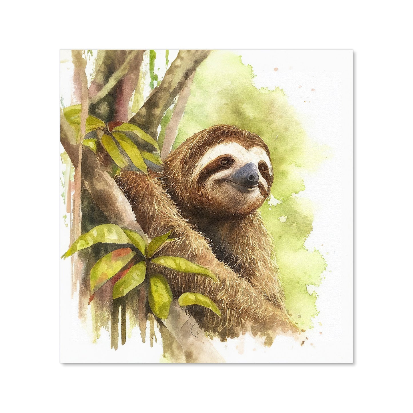 Sloth Watercolour Kitchen Splashback