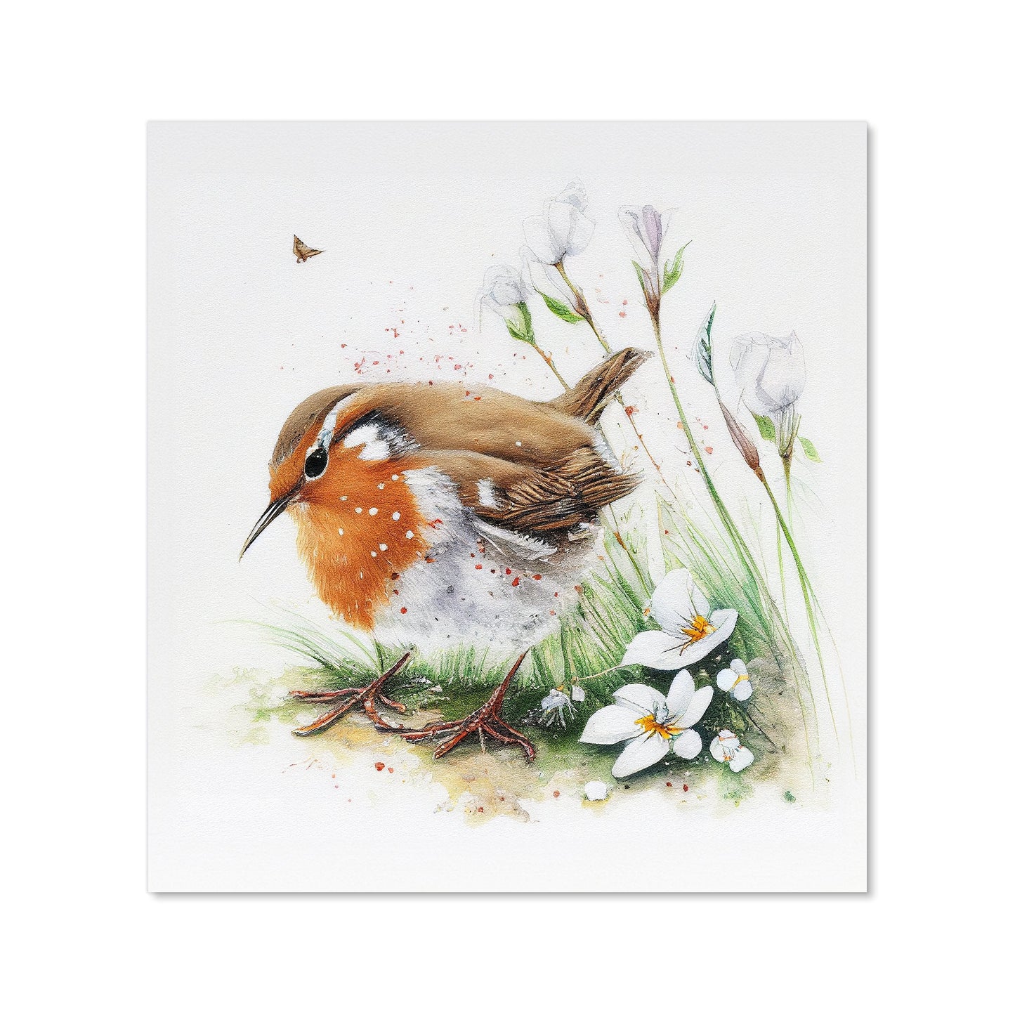 Robin And Daisies Watercolour Kitchen Splashback