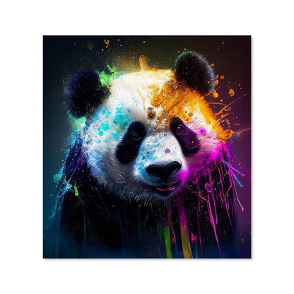 Panda Face Splashart Colourful Kitchen Splashback