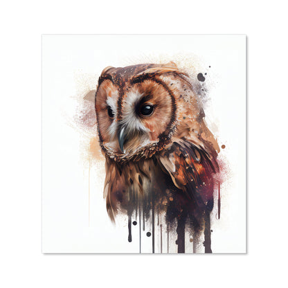 Tawny Owl Face Splashart Light Background Kitchen Splashback