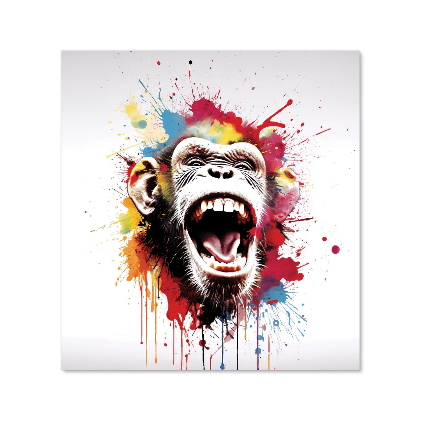 Coloured Splashart Crazy Monkey Face Kitchen Splashback