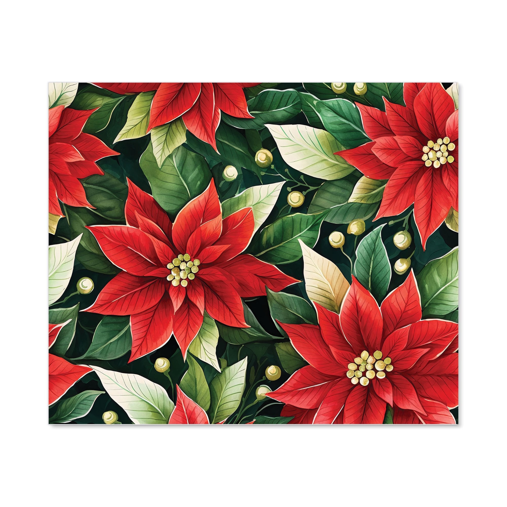 Poinsetta Watercolour Kitchen Splashback