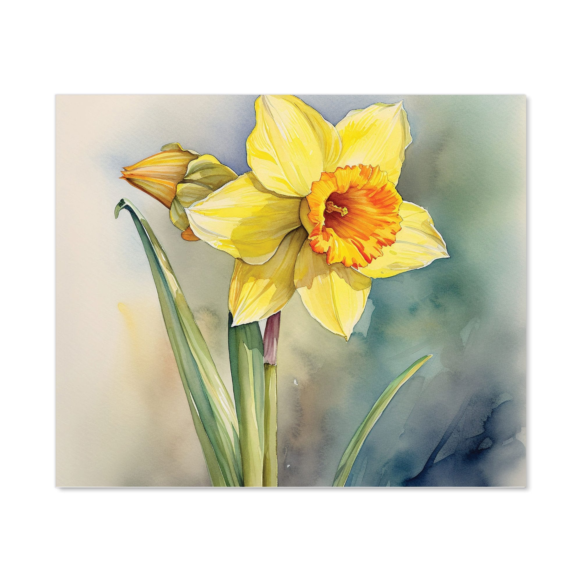Daffodil Watercolour Kitchen Splashback