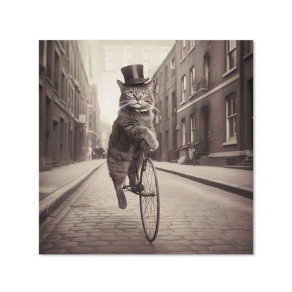 Victorian Cat Riding A Bike Kitchen Splashback