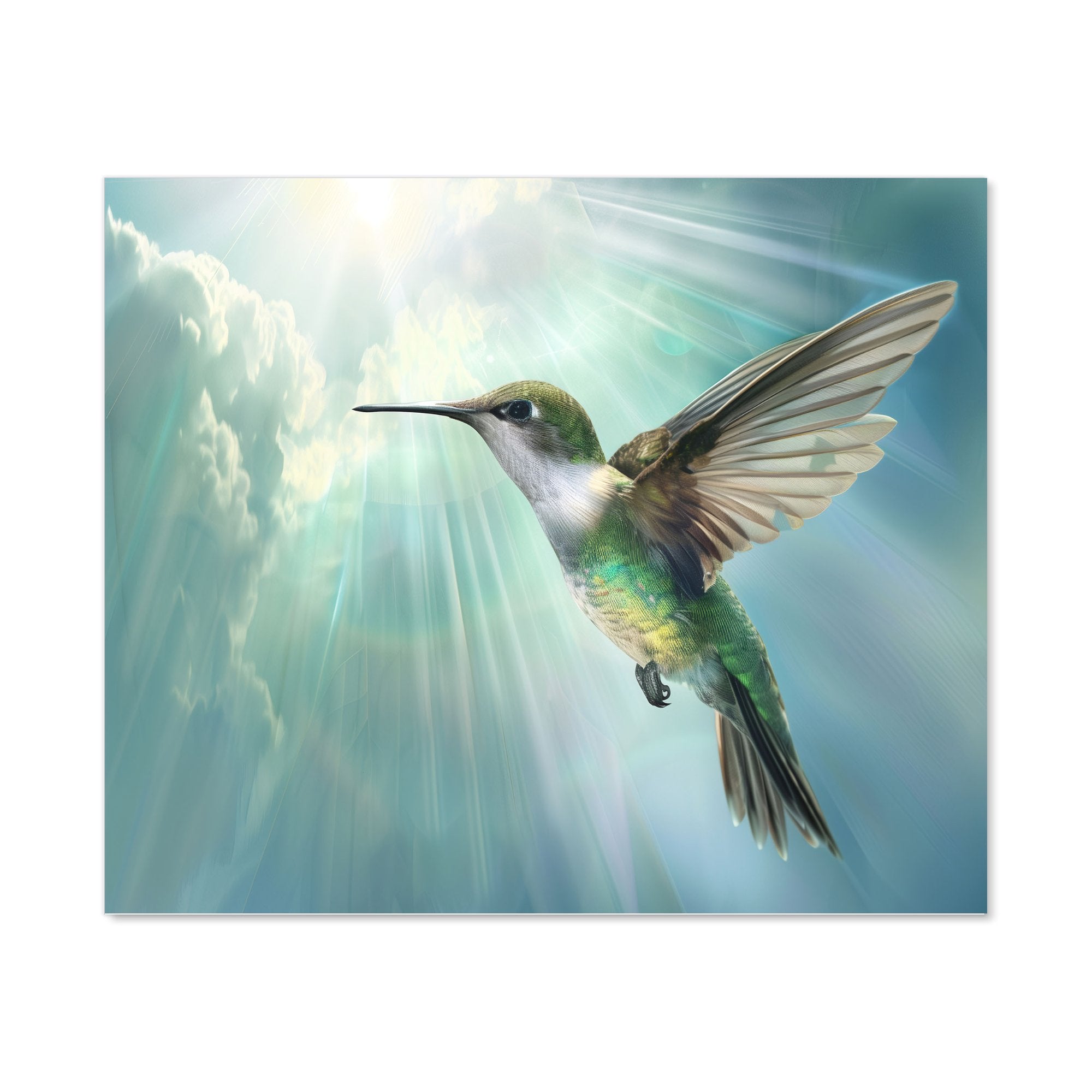 Hummingbird In A Beautiful Sky Kitchen Splashback