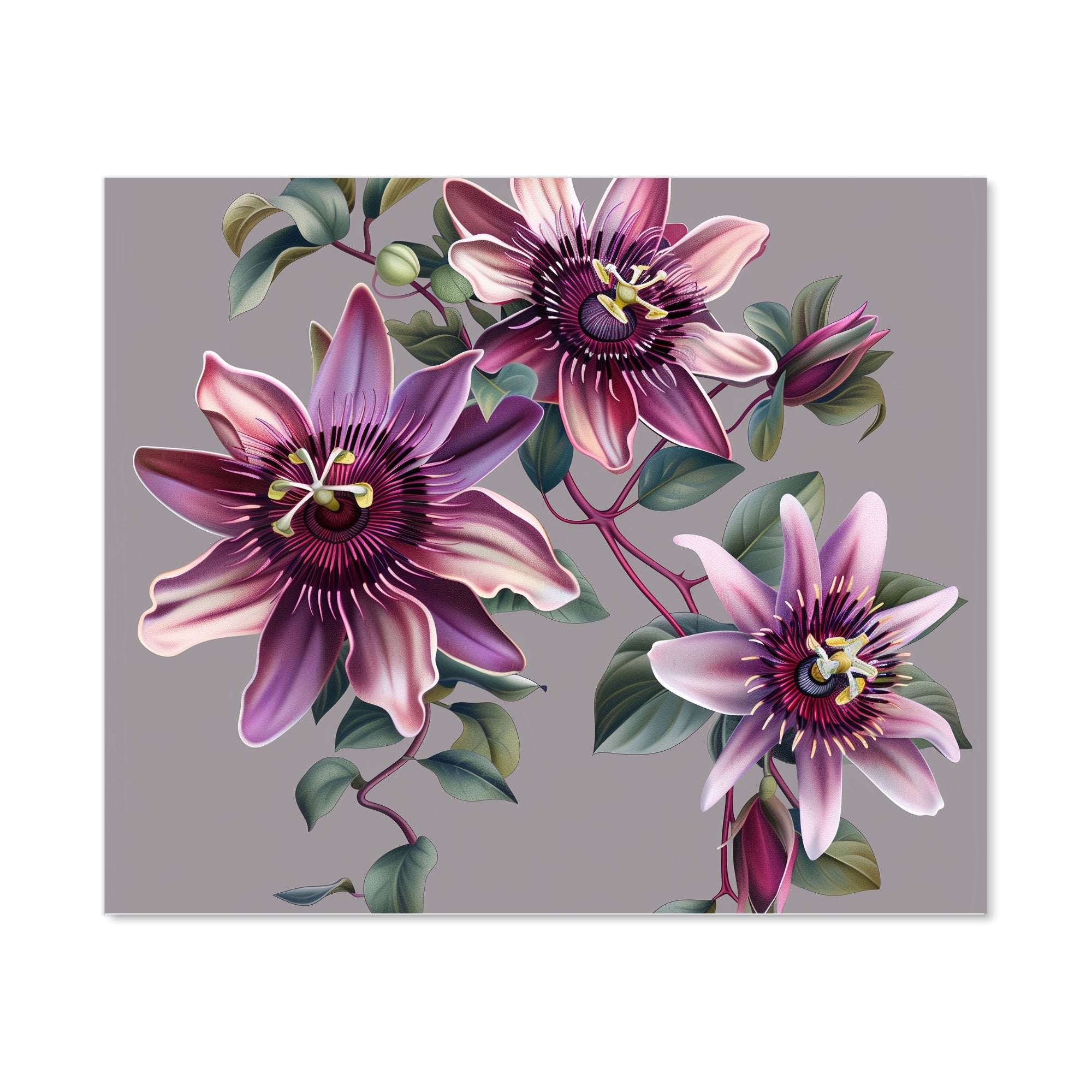Purple Passion Flowers Kitchen Splashback