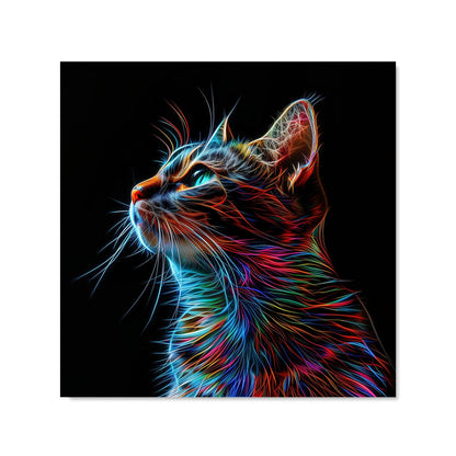 Electric Cat Whiskers Kitchen Splashback