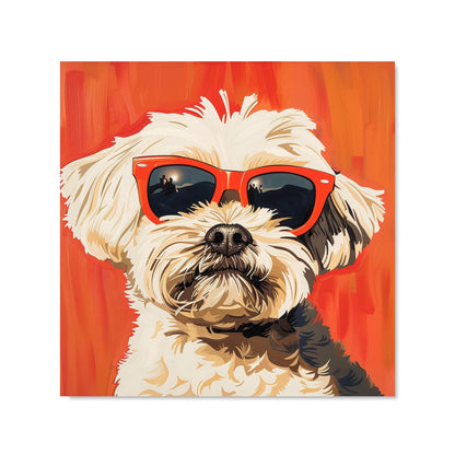 Cool Pup in Sunglasses Kitchen Splashback