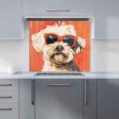 Cool Pup in Sunglasses Kitchen Splashback