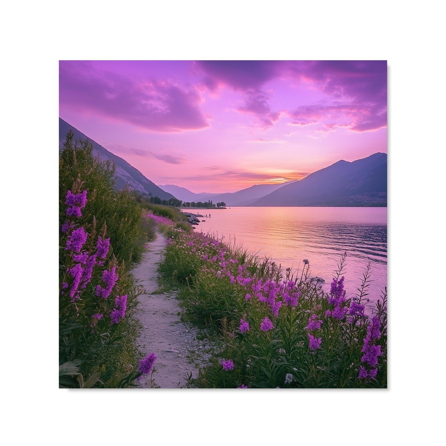 Twilight Path by the Lake Kitchen Splashback