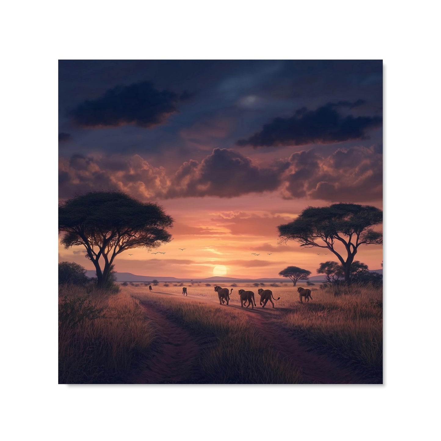 Lions' Twilight Journey Kitchen Splashback