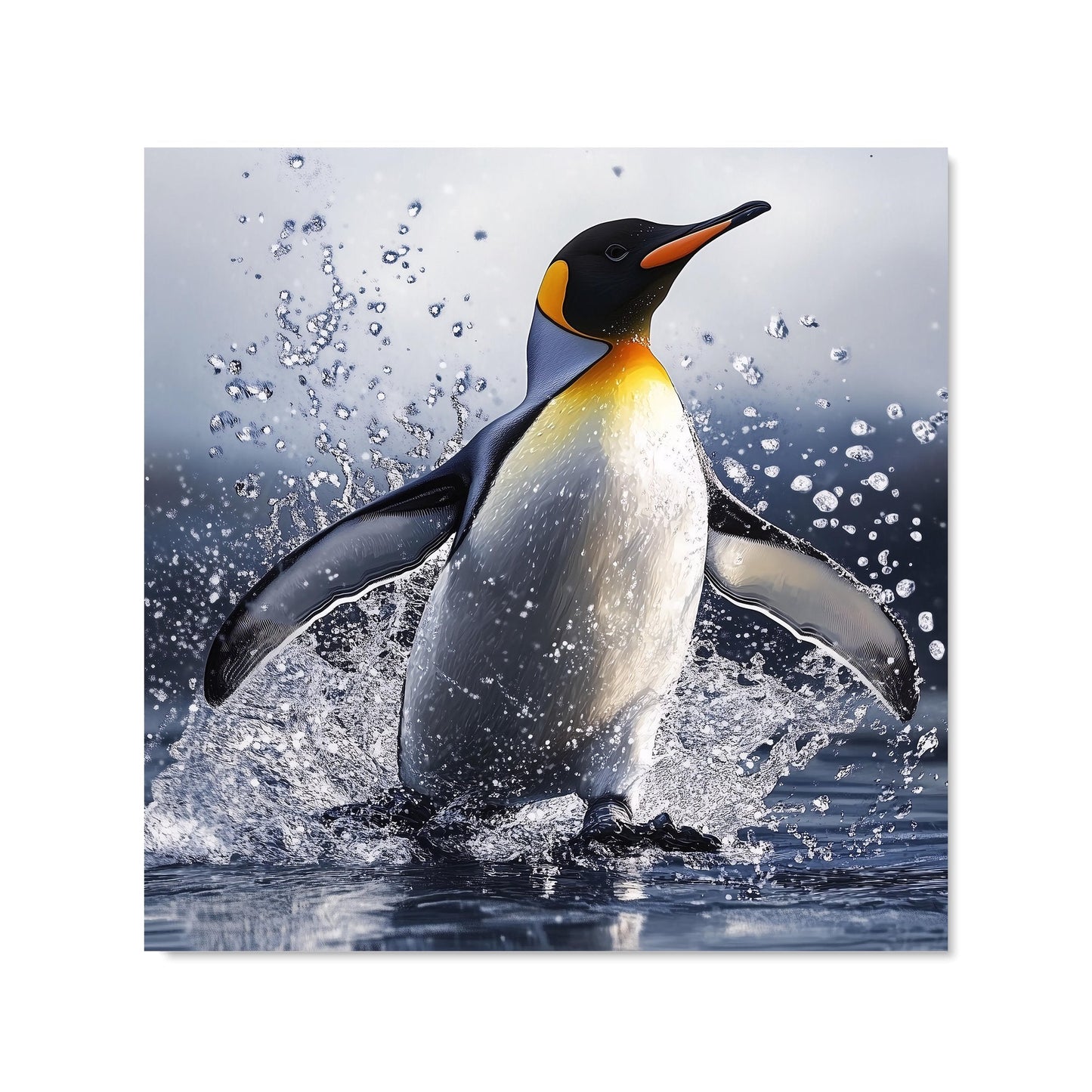 Regal Penguin in a Watery Burst Kitchen Splashback