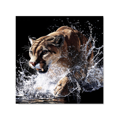 Puma's Determined Splash Kitchen Splashback