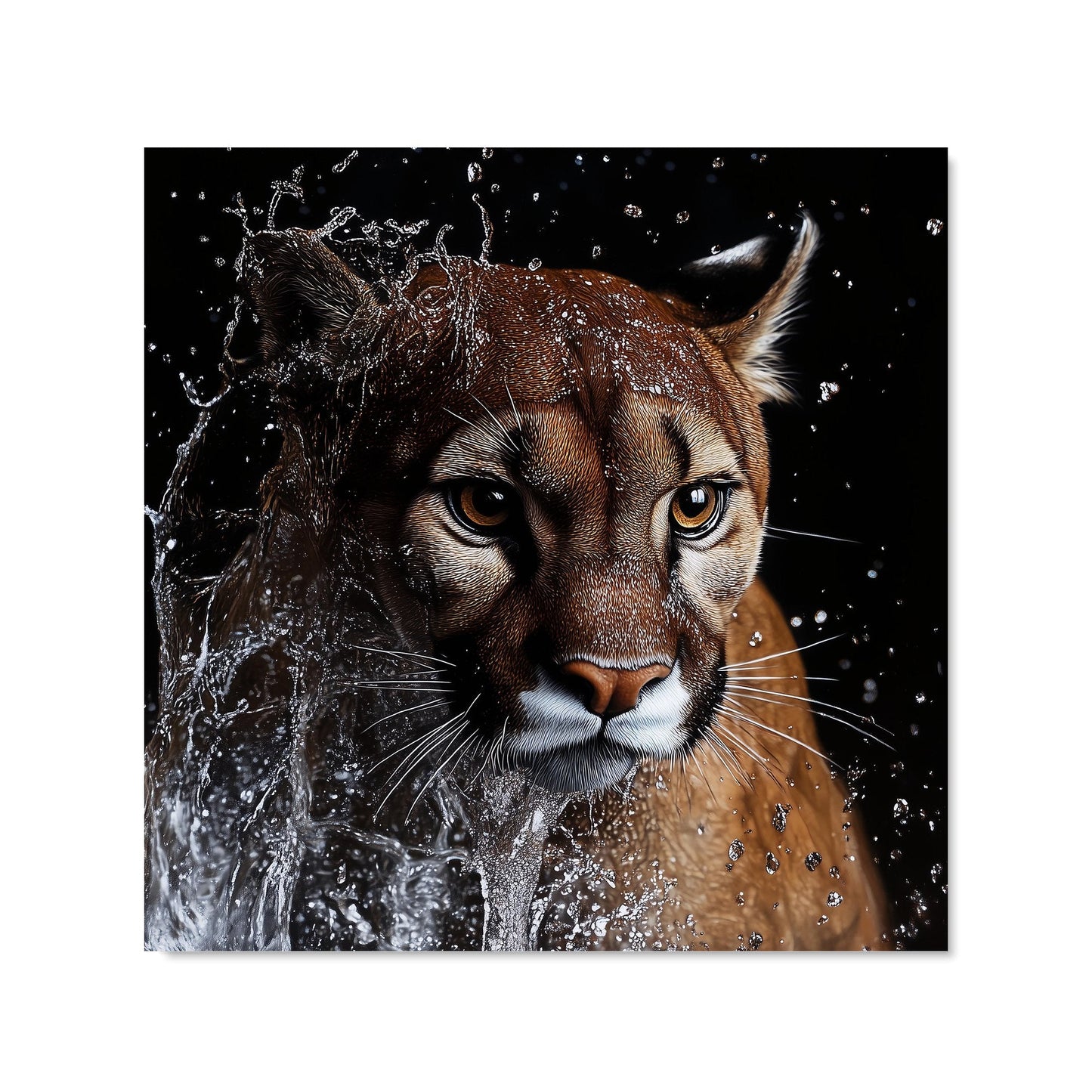 Fierce Puma in Motion Kitchen Splashback