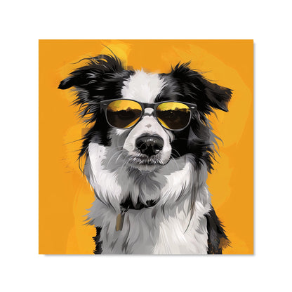 Cool Collie with Attitude Kitchen Splashback