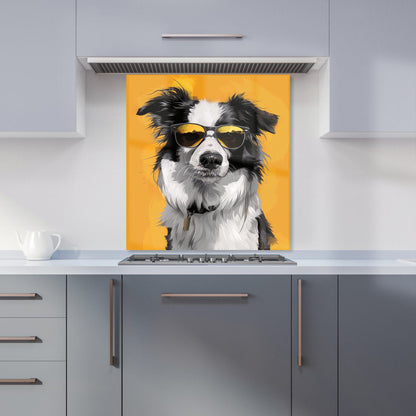 Cool Collie with Attitude Kitchen Splashback