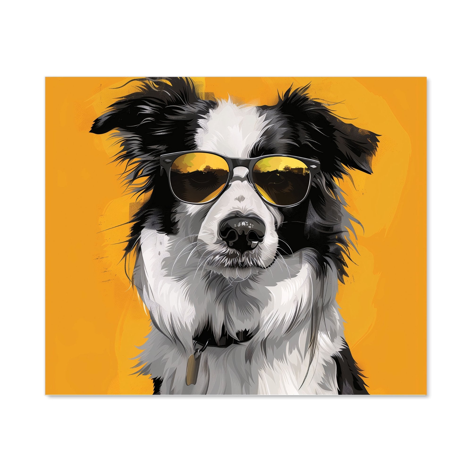 Cool Collie with Attitude Kitchen Splashback