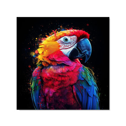 Vivid Parrot in a Splash of Colour Kitchen Splashback