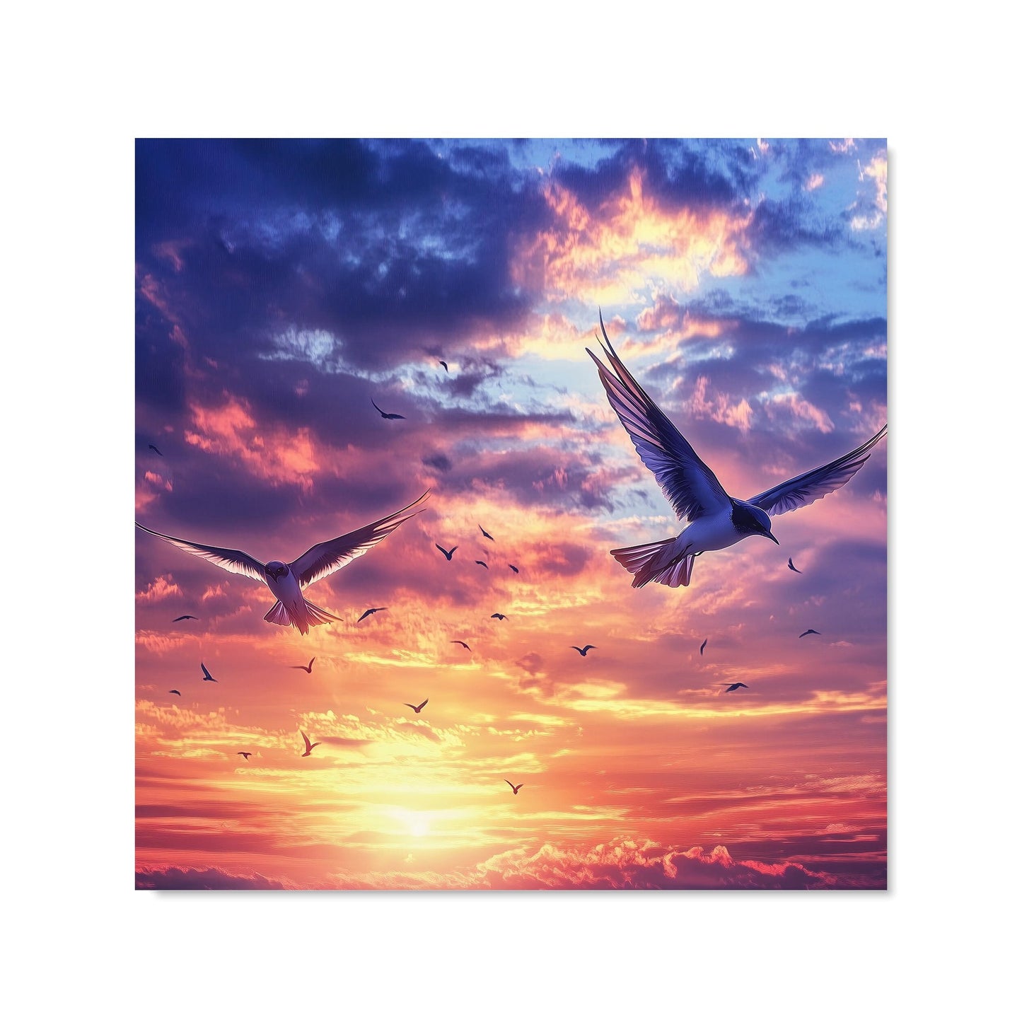 Dawn Flight: Swallows at Sunrise Kitchen Splashback