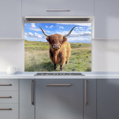 Highland Cow In Summer Kitchen Splashback