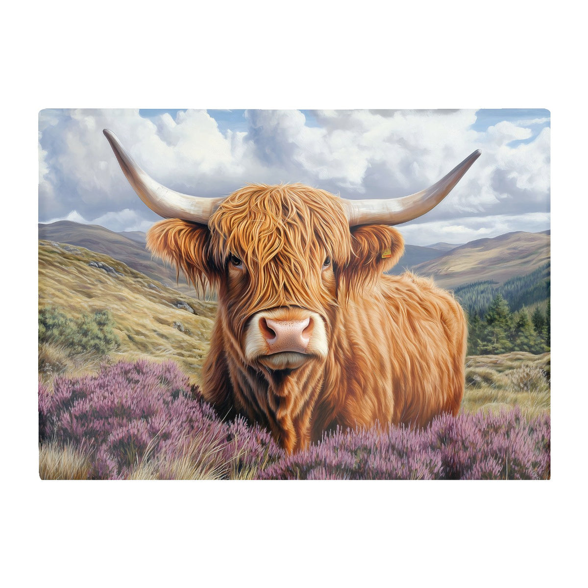 A Beautiful Highland Cow Chopping Board